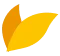 peculiaritiesicon-1