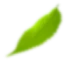 peculiaritiesicon-2