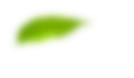 peculiaritiesicon-3